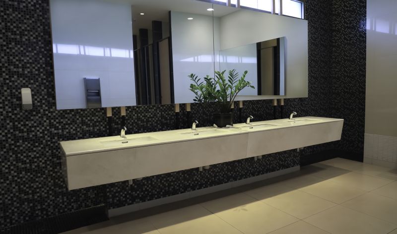 Commercial Mirror Installation